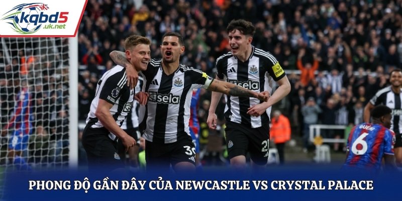 Phong độ thi đấu gần đây của Newcastle vs Crystal Palace